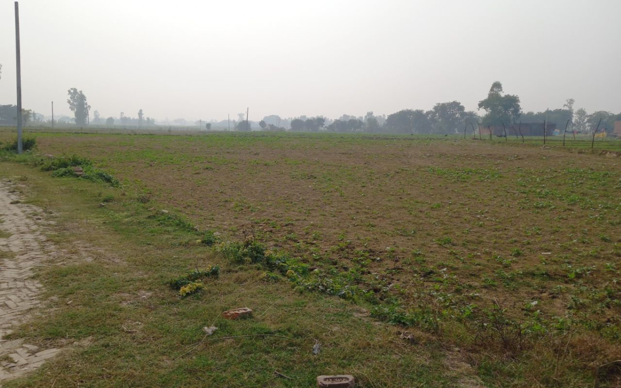 भूमाफिया