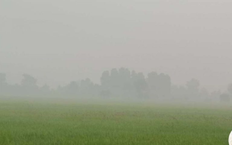 Bihar Weather : मौसम ने बदली करवट, सुबह-सुबह ही दिखने लगा घना कोहरा