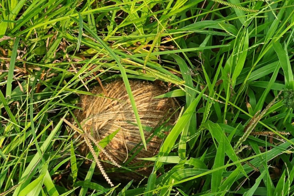 an image