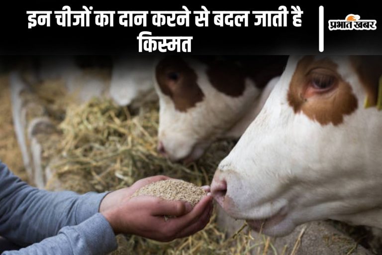Vastu Tips: इन चीजों का दान करने से बदल जाती है किस्मत