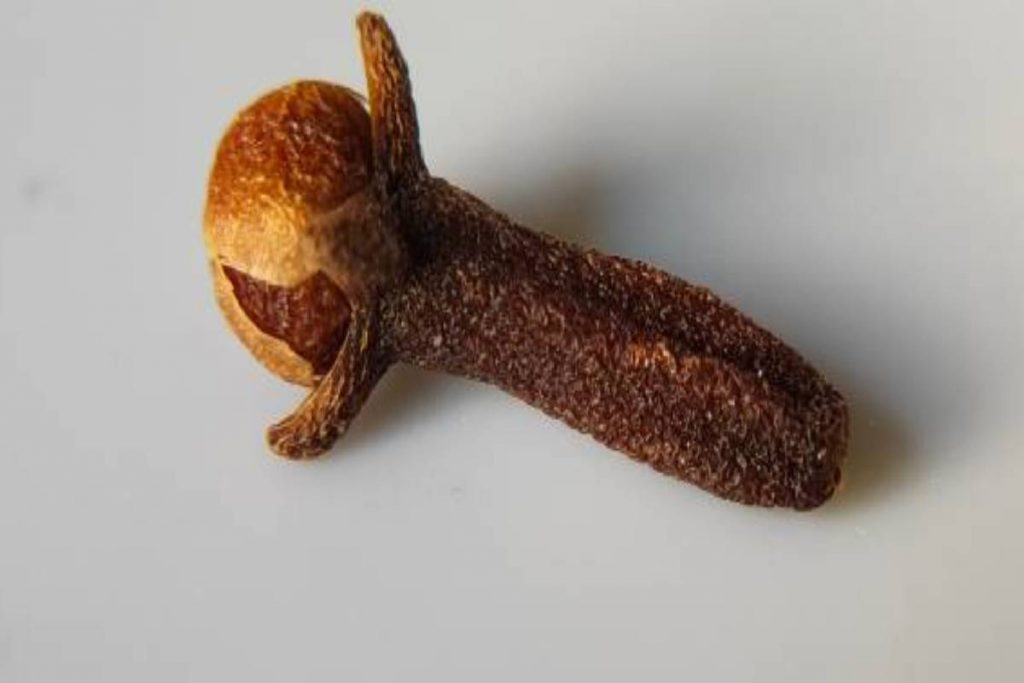 an image