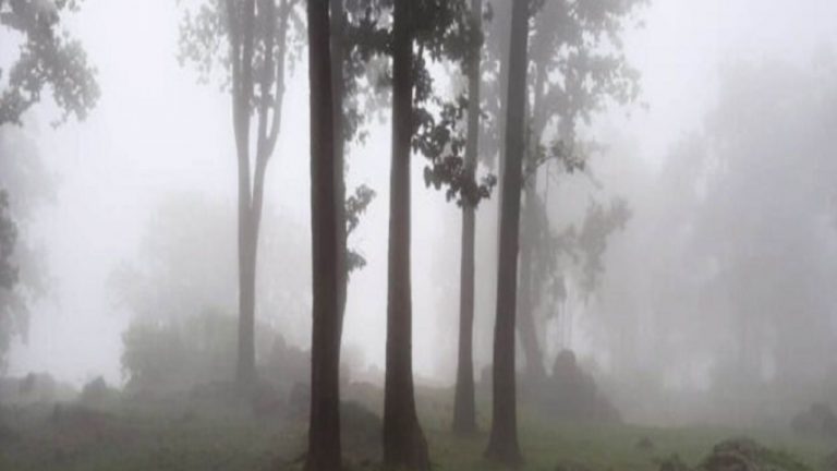 Bihar Weather: बिहार में बदला मौसम का मिजाज, अब गुलाबी ठंड की ओर बढ़ीं रातें