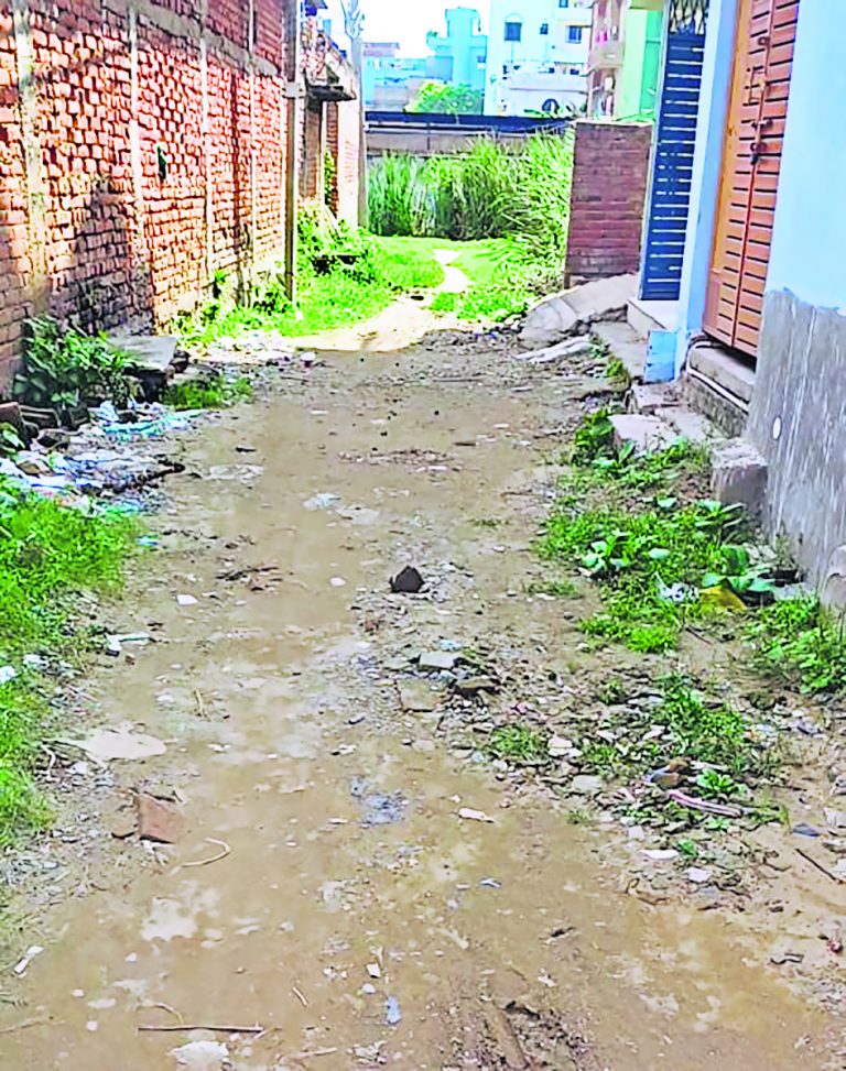 मुहल्ला बसे  पांच वर्ष बीते,  न नाला बना, न पक्की सड़क