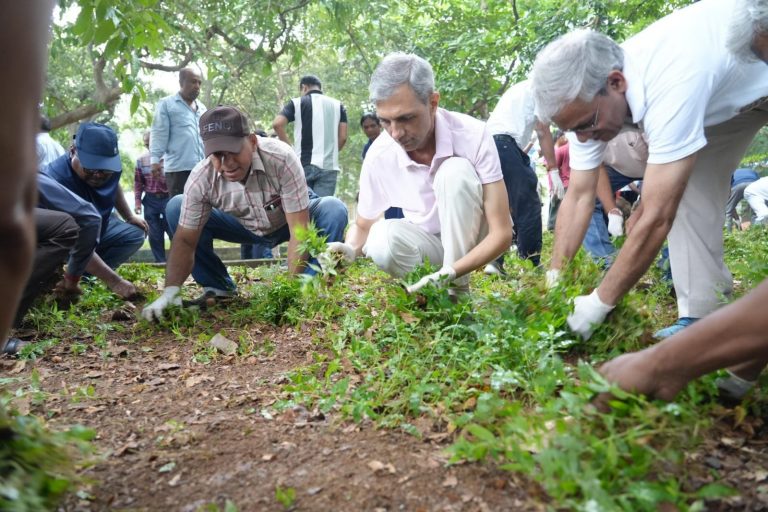 चिरेका महाप्रबंधक ने किया सामूहिक श्रमदान
