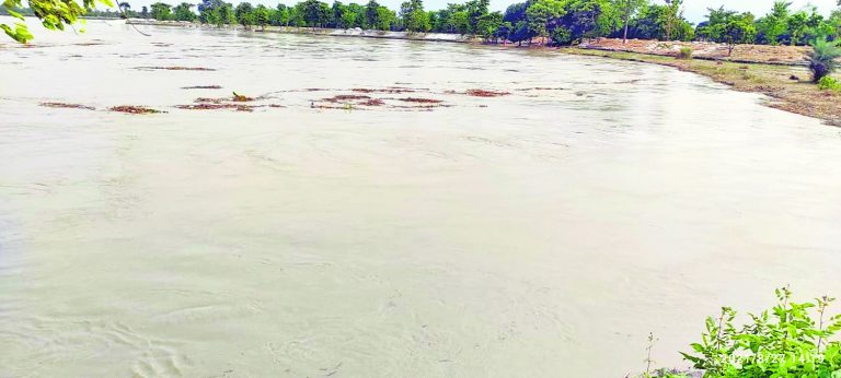 Gopalganj News  : निचले इलाके से उतरने लगा गंडक नदी का पानी, गांवाें में तबाही अब भी बरकरार