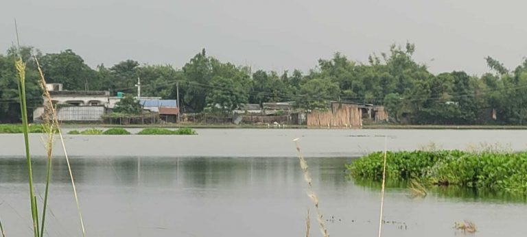 बाढ़ प्रभावित लोगों को गांव से निकलने में हो रही परेशान, डेढ़ दर्जन परिवार हुए बेघर