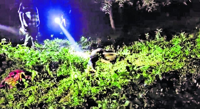 Rourkela News: कोइड़ा के पाटमुंडा गांव में दंतैल हाथी के हमले में ग्रामीण की मौत