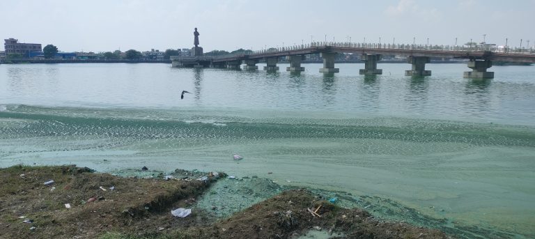 Ranchi news : बड़ा तालाब के पानी से फिर आने लगी बदबू, लोग परेशान