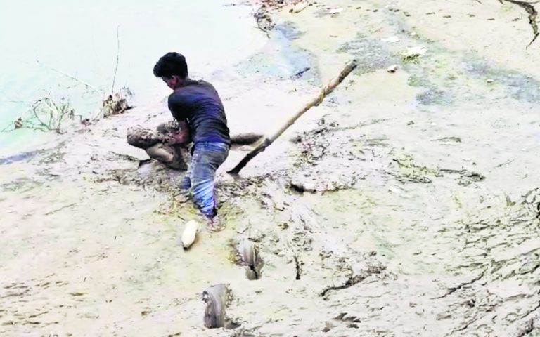 दलदल में समा गये वृद्ध को युवक ने बचाया