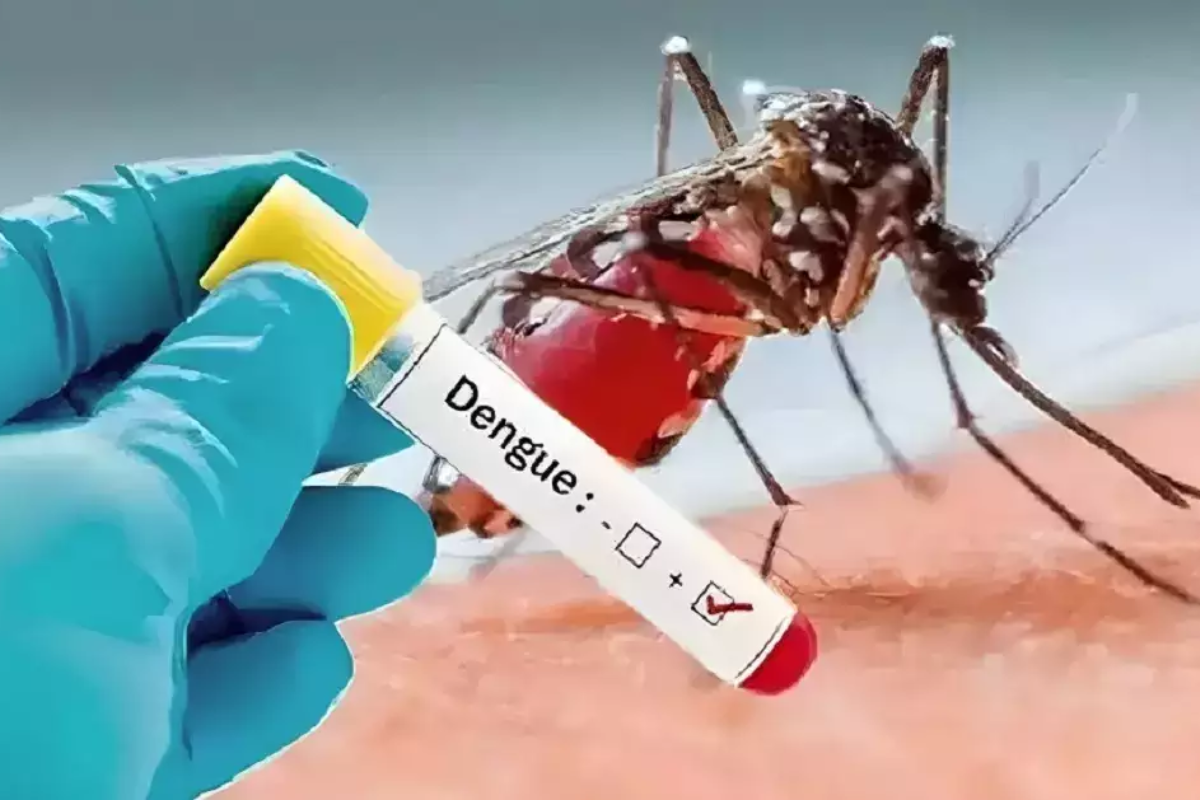 Muzaffarpur dengue case