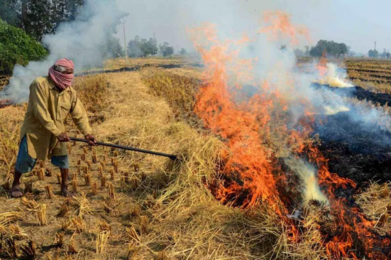 Bihar News: किसान को पराली जलाना पड़ा महंगा, सैटेलाइट से ली गई फोटो, FIR दर्ज