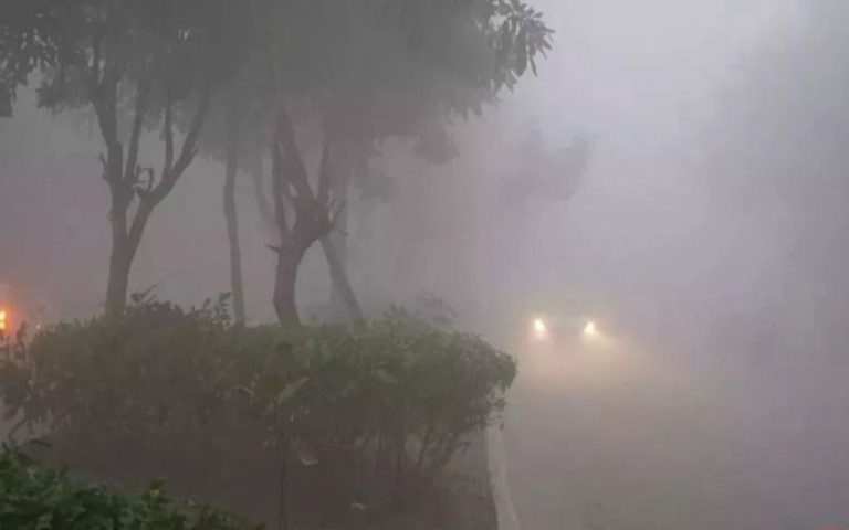 मुजफ्फरपुर में मौसम का बदला मिजाज, ठंड और कोहरे के साथ सर्दी बढ़ेगी, जानें ताजा अपडेट