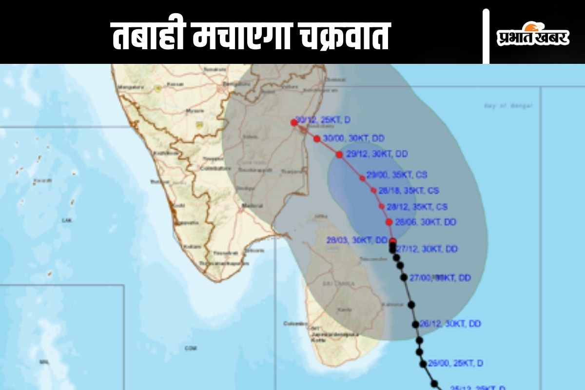 Cyclone Alert