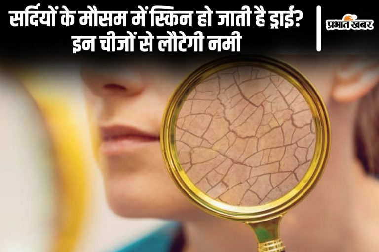 Skin Care Tips: सर्दियों के मौसम में स्किन हो जाती है ड्राई? इन चीजों से लौटेगी नमी