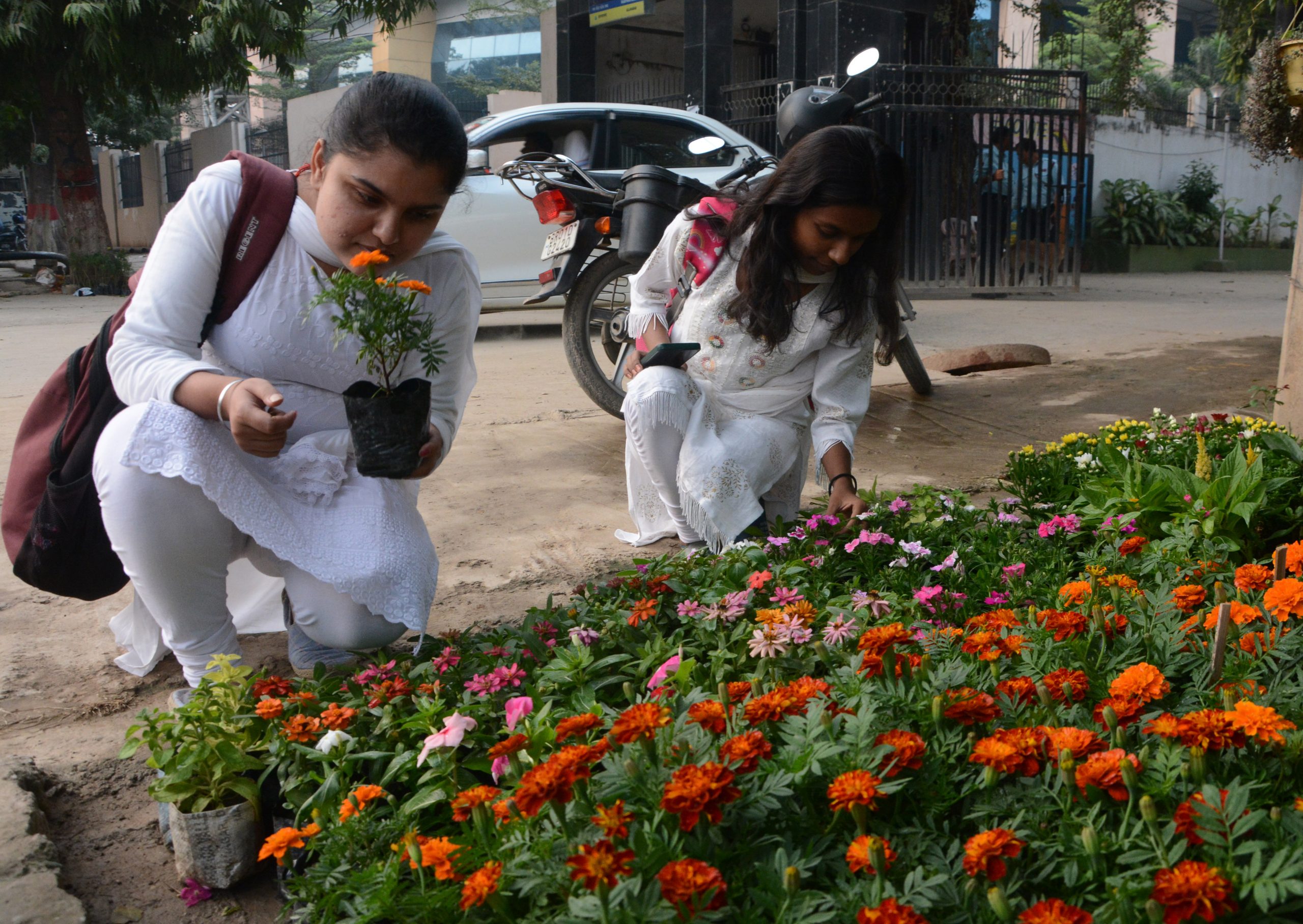 Flower Market