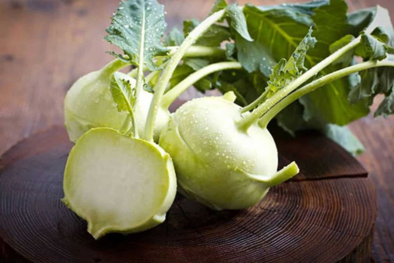 Benefits of kohlrabi Vegetable: फूल गोभी से भी ज्यादा फायदेमंद होती है ये सब्जी – नोलखोल