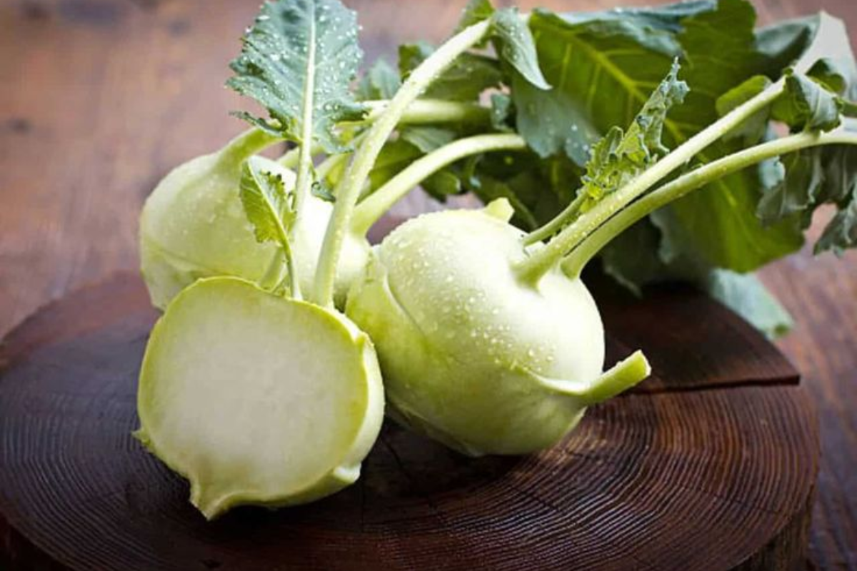 Benefits of kohlrabi Vegetable: फूल गोभी से भी ज्यादा फायदेमंद होती है ये सब्जी - नोलखोल (Kohlrabi)