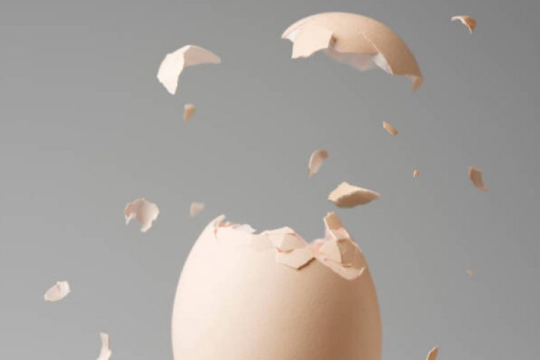 benefits of Egg Shell: अंडे के छिलके करेंगे कमाल, ऐसे करें इस्तेमाल