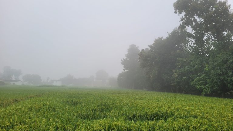 छठ से पहले मौसम का बदला मिजाज, घने कोहरे से ढका रहा जिला