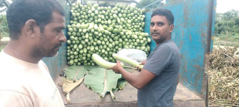 किसानों के लिए नजीर बने हैं रिटायर्ड फौजी राजेश