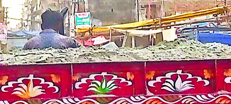 Chhapra News : सफेद बालू के पीछे काला खेल, खनन विभाग नहीं कस पा रहा नकेल