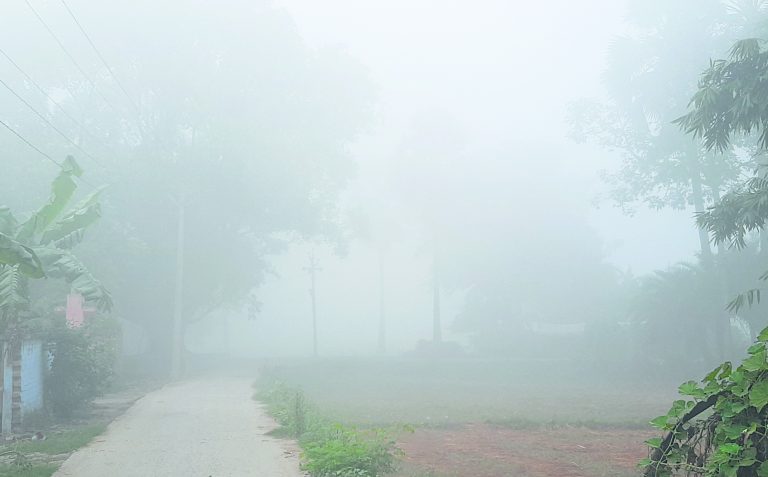 hajipur news. पछुआ हवा से बढ़ी ठंड, घने कोहरे से वाहनों की रफ्तार में आयी कमी