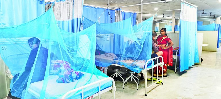 Gaya News : ठंड शुरू होते ही डेंगू के प्रकोप में आने लगी कमी