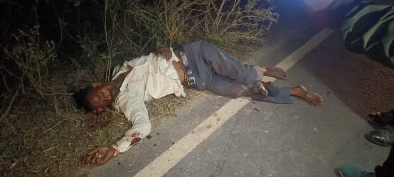 ऑटो की टक्कर से बाइक चालक की मौत