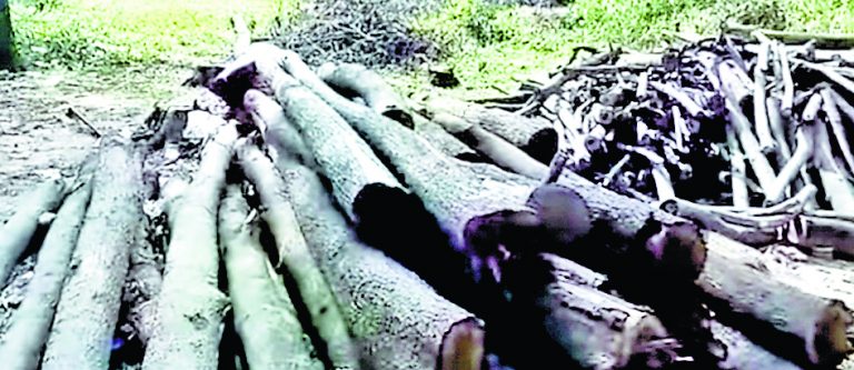 कांकसा : रघुनाथपुर में आदिवासी भूमि को बेचने का आरोप, जोर पकड़ता आदिवासी आंदोलन