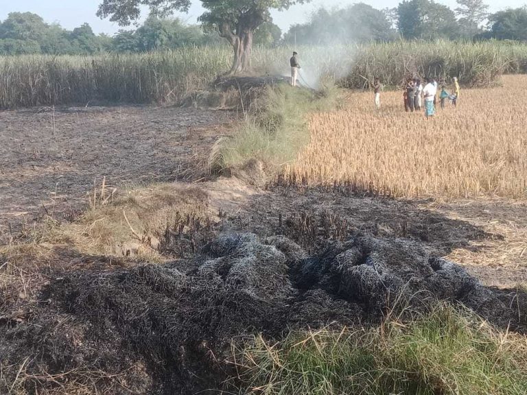 गन्ना के खेत में लगी आग से लाखों रुपये का गन्ने का फसल जलकर राख