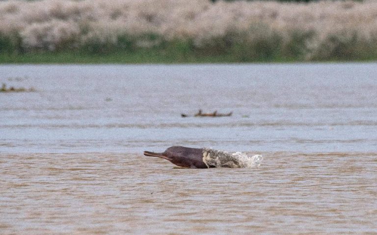Clean Ganga: गंगा नदी की सफाई को लेकर केंद्र सरकार ने लिया अहम फैसला