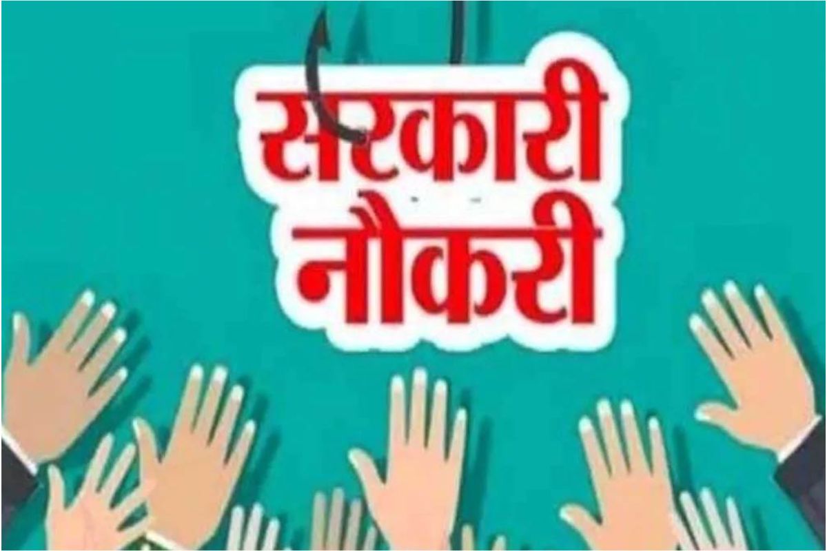 Government Job