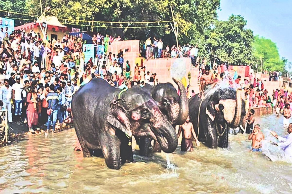 sonepur mela