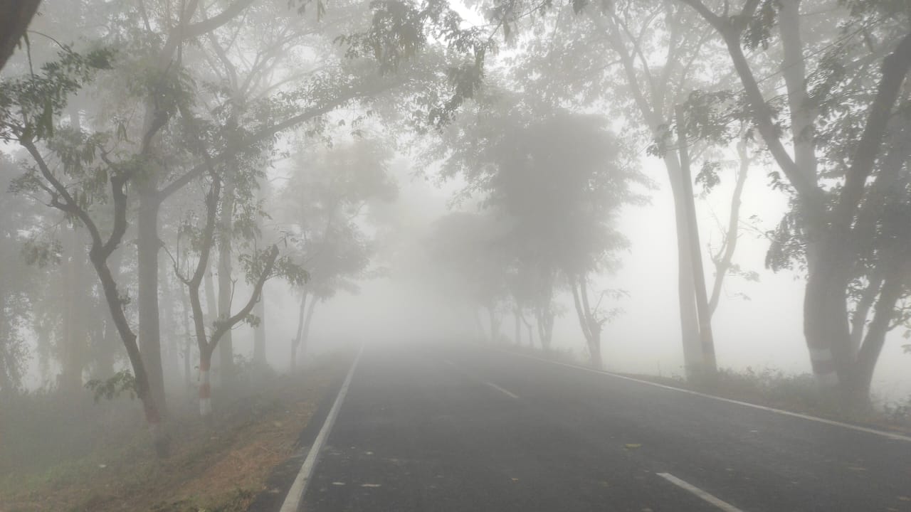 bihar weather news