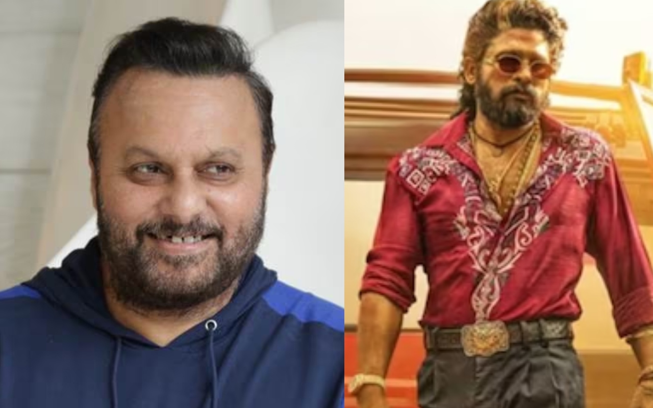 Anil Sharma on Pushpa 2 Success