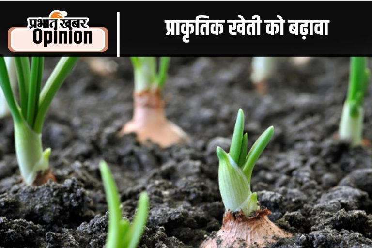 प्राकृतिक खेती को चरणबद्ध तरीके से ही बढ़ावा मिले