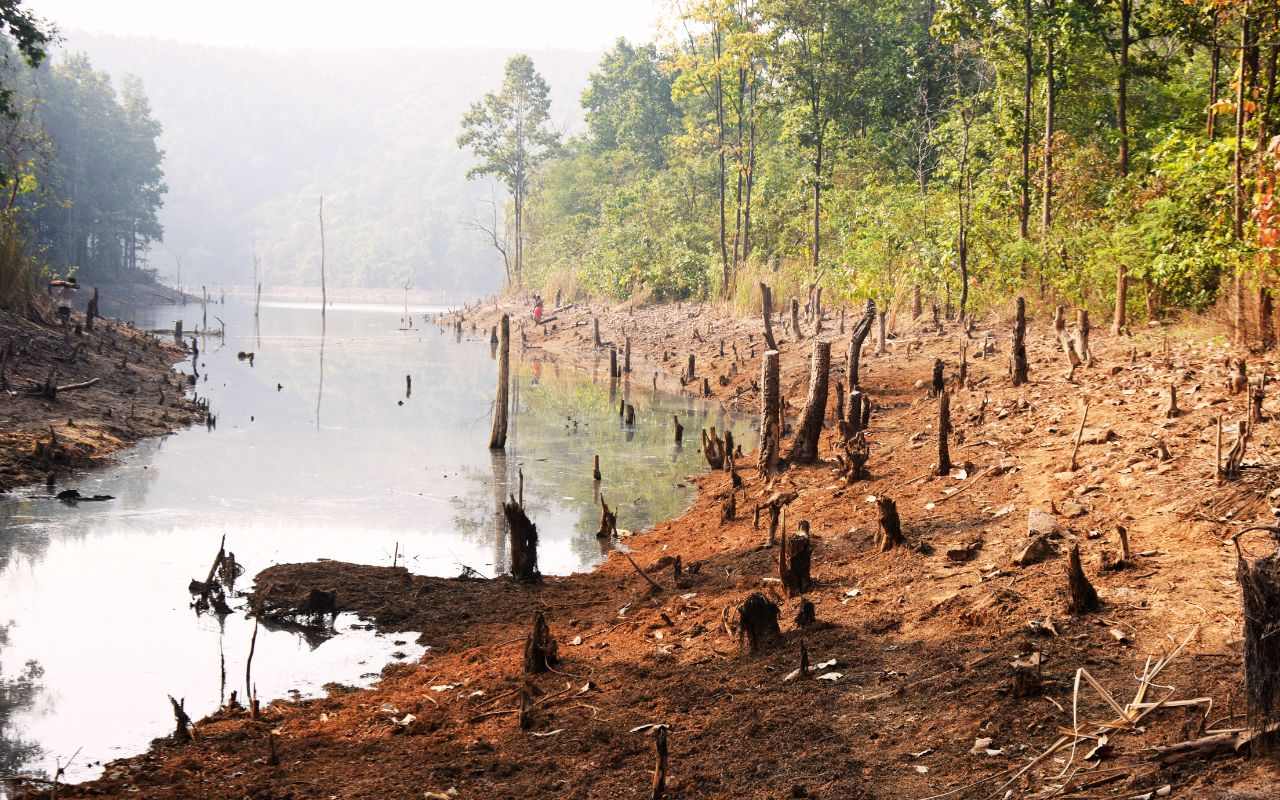 Crime News Jharkhand