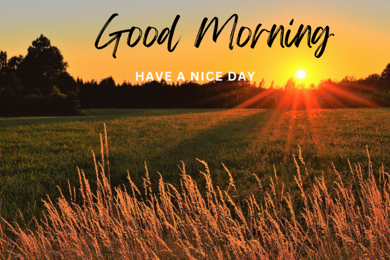 Good Morning Images With Caption: सुप्रभात- एक नई शुरुआत के साथ जिएं जीवन