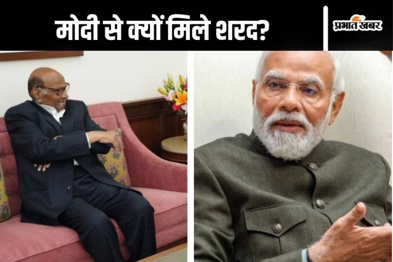 Sharad Pawar Video : अनार लेकर पीएम नरेंद्र मोदी के पास पहुंचे शरद पवार