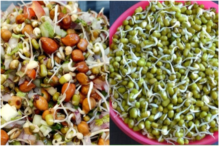 नाश्ते या टिफिन के लिए अंकुरित मूंग से बनाएं ये पौष्टिक और स्वादिष्ट व्यंजन