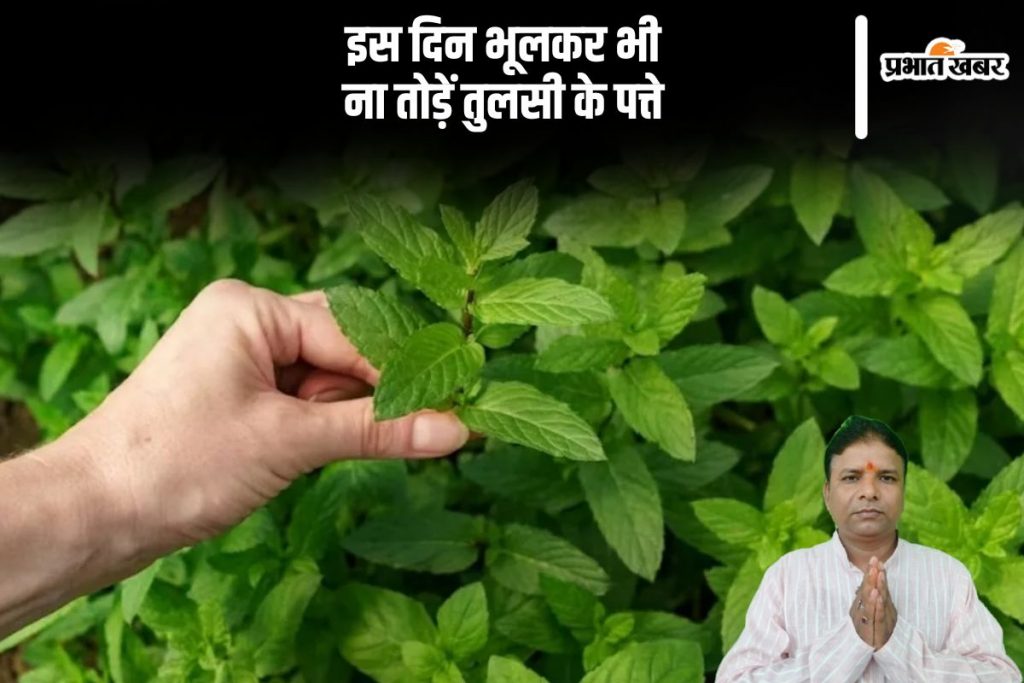 an image