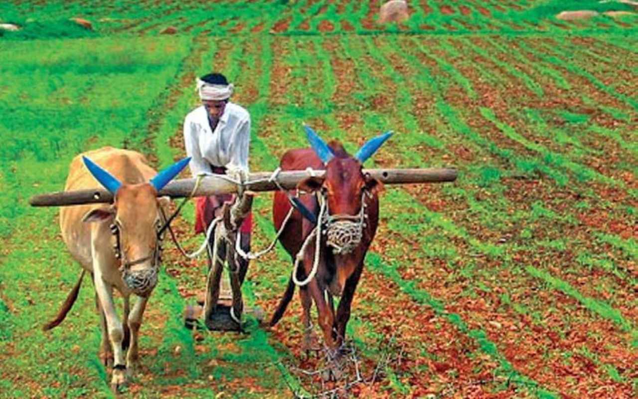 farmer