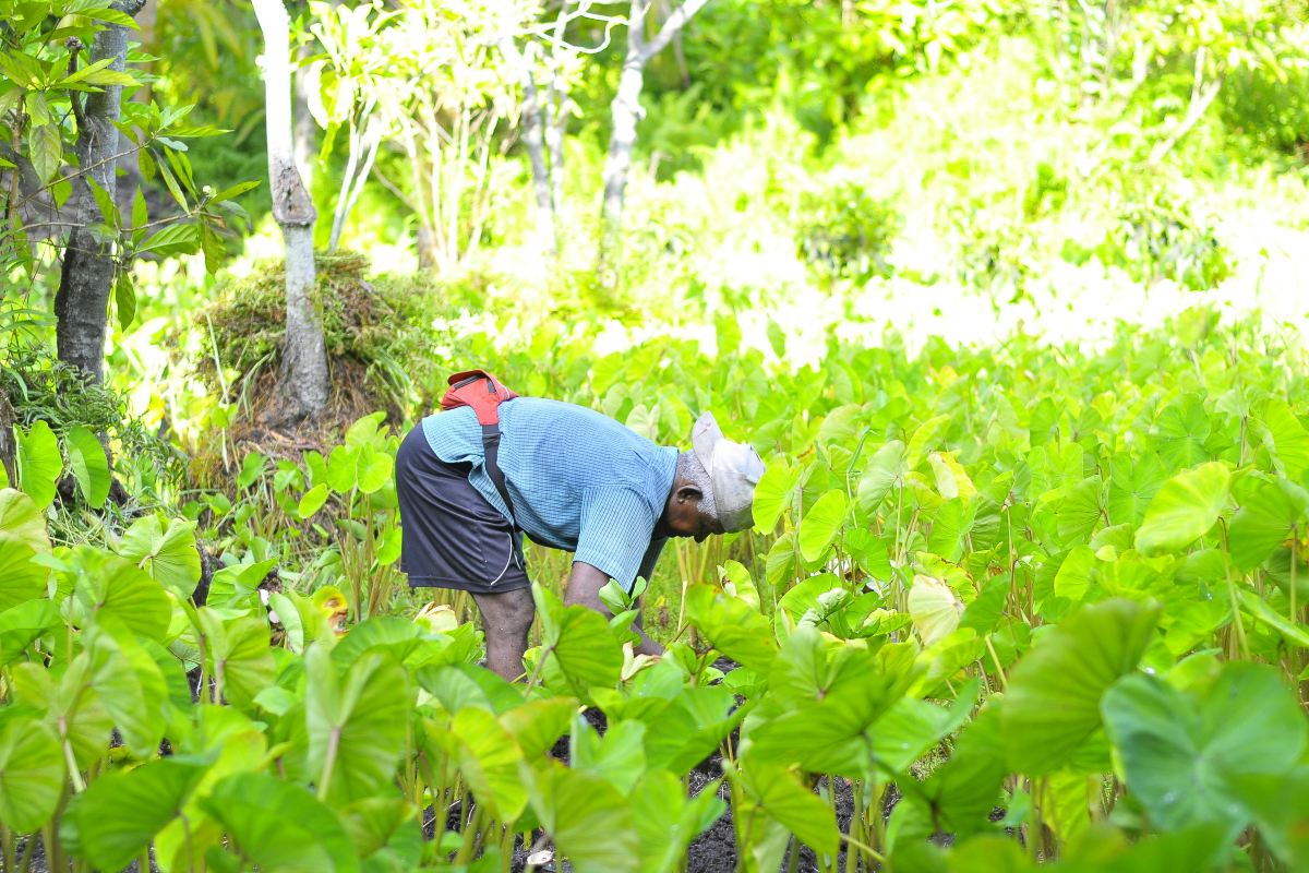 farmers day 2024