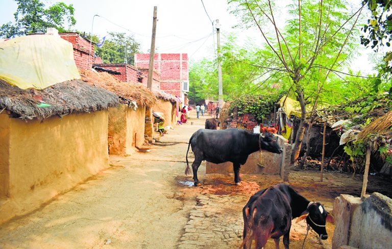 Buxar News : दूसरे दिन भी बस्ती में नहीं जले चूल्हे