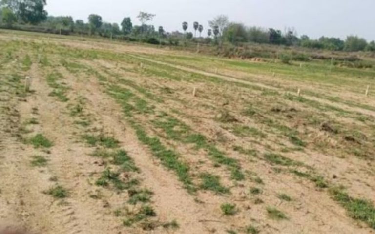 यूपी में नियुक्त किये गये अमीन