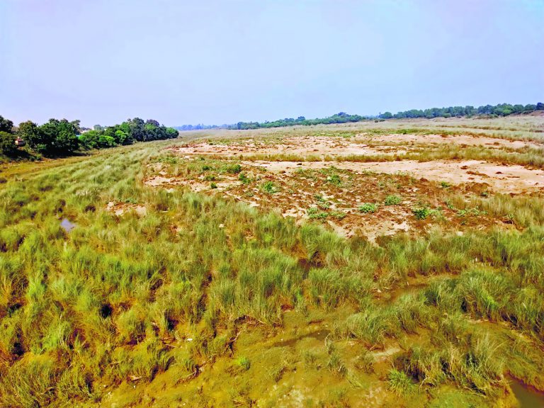 रात के अंधेरे में नदी से बालू का हो रहा अवैध उठाव