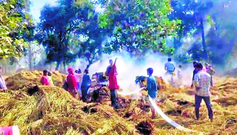 Gaya News : तरवां में धान के बोझों में लगी आग, डेढ़ लाख का नुकसान