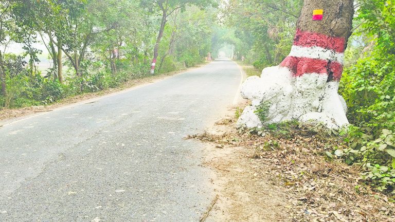 पत्नी की विदाई के लिए सससुराल जा रहे युवक की सड़क हादसे में मौत
