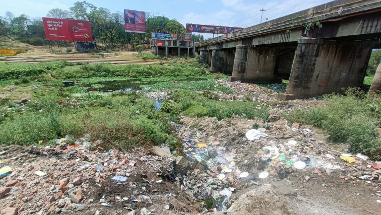 Bokaro News : चास-बोकारो की गंदगी ढो रही है गरगा व सिंगारीजोरिया