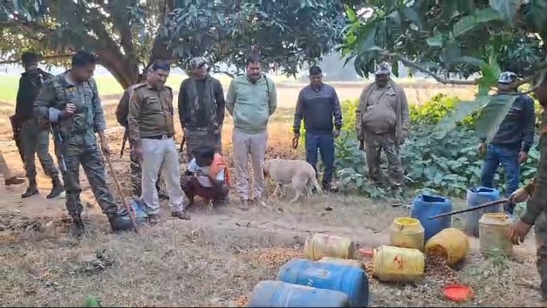 पुलिस ने शराब भट्ठी के साथ 700 किलो जावा महुआ को किया नष्ट